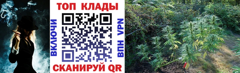Купить наркоту Карачаевск ГАШ Каннабис Cocaine МЕФ