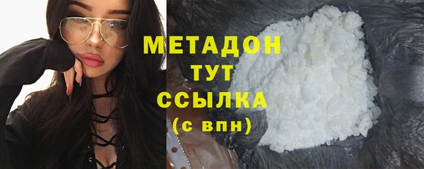 индика Горняк