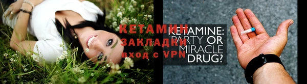 индика Горняк