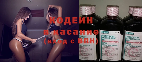 индика Горняк