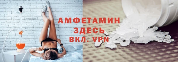 индика Горняк