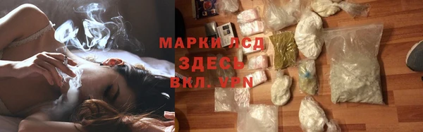 индика Горняк