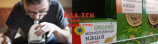 индика Горняк
