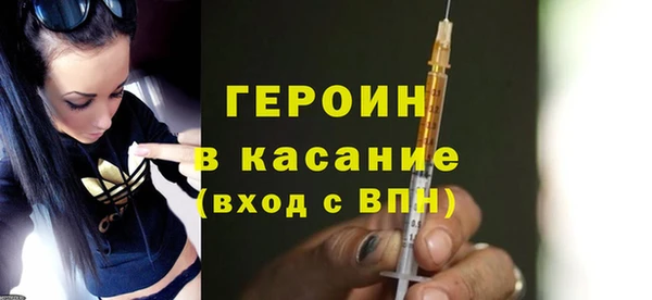 индика Горняк