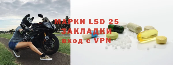 индика Горняк