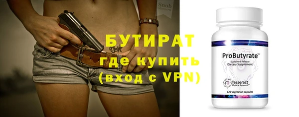 индика Горняк