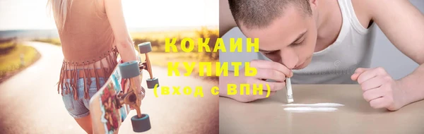 индика Горняк
