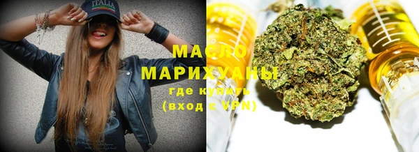 индика Горняк