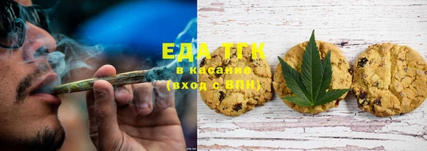 индика Горняк