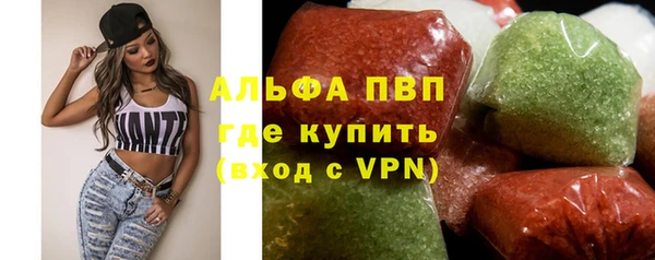 индика Горняк