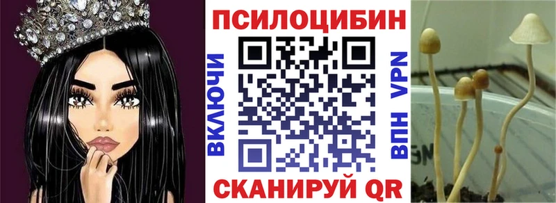 mega как войти  Карачаевск  Галлюциногенные грибы GOLDEN TEACHER  как найти закладки 